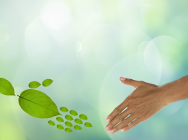 grădinărit ecologic